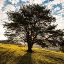 시지든든한의원 이미지