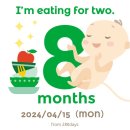 경산성모유치원 | 은평성모병원 산부인과 백일해 주사 가격 접종 금액 28주 정기검진