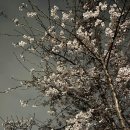 올림픽공원 북1문 옆 공원 이미지