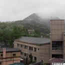 화개1길 이미지