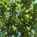 수하골(2) 이미지