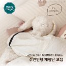 메리베어 이미지