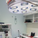 에버펫 동물병원 이미지