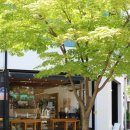 청주 성안길카페 콜프 로스터스 Colf roasters