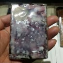 벨라루나 이미지