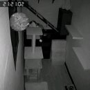 포레스트 캣호텔 이미지