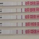 진해구 ⓒ-19 | 임신극초기 배란 19일차 ~ 23일차 임테기와 증상기록 : 역전 전에도 아기집이 보일까?