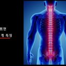 경북대 바른아이 태권도장 이미지