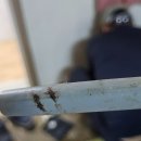 사대안길 이미지