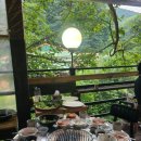 산골오리 이미지