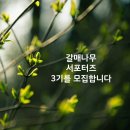갈매나무 이미지