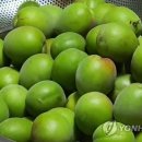 100년농원 이미지