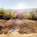 지리산 둥이네 이미지