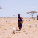 가정1-02-012 이미지