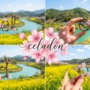 솔동산로 이미지