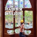 골드나이트 | 바르셀로나 투어 까사바트요 매직나이트 루프탑 공연 관람 골드티켓 후기