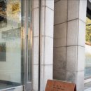 포레스트541 이미지