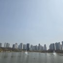 새싹공원 | 평택 배다리 생태공원 산책 후기 1탄 | 벚꽃 전 모습, 봄에 가기 좋은 호수공원 코스