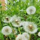 용정2리 경로당 이미지