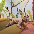 헨젤과그레텔 실내놀이시설 | [공지] 오늘 아기랑 어디 갈까? 직접 가본 서울 갈만한곳 BEST 10 추천!