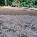 기중농장 이미지