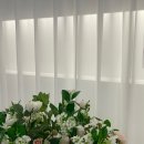 제니스웰니스센터