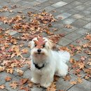 88약수터 | 11월: 잘나가는 놈이 더 잘 나가는 법!