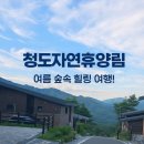 각북면사무소 | 각북면 청도자연휴양림 미나리 산림 휴양관 후기! 복층 숙소 계곡 물놀이까지 완벽한 휴캉스