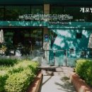 별빛동물병원 네이버블로그