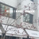 압구정 카페 | 로와이드, LOWIDE 🥯소금빵 브런치 맛집 반려동물동반 카페 내돈내산 후기