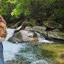 포레스트밸리 | 자연 속 힐링, 강원도 계곡펜션 포레스트밸리 후기