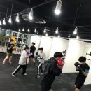 일산 Box-1 대화 이미지