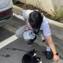 영흥36가족호텔 이미지