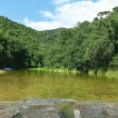 수타사 용담 공중화장실 | “수타사 vs 송계계곡💧 어디가 더 찐 피서지일까?”