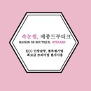 메종드부티크 속눈썹