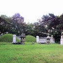 이사위묘 이미지