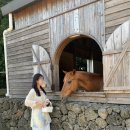 석양목장 이미지