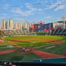 펫앤쿡 | 25년 8월 한여름 나름대로 즐기기