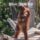 신화교역 | 놀란많은 오디세이 후기