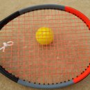 수내테니스장 이미지