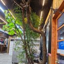 양지-2814 이미지