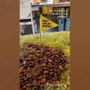 토우공인중개사사무소 이미지