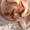 도우도우 이미지