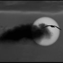 구름에 달가듯이 이미지