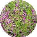 잔디 농장 이미지