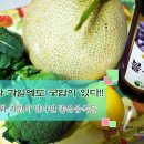 과일아쥬스해 이미지