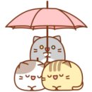 프로젝트99 네이버블로그