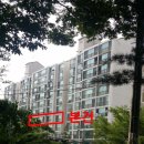 덕진-46 이미지