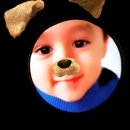 멍멍토리 이미지