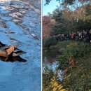 원앙파크 이미지